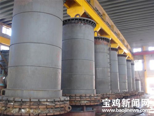 寶鈦集團總經理雷讓岐 以盛會為契機，以技術開發驅動企業更高質量發展